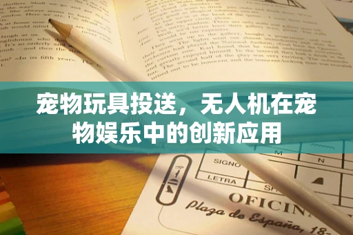 宠物玩具投送，无人机在宠物娱乐中的创新应用