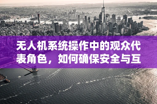 无人机系统操作中的观众代表角色，如何确保安全与互动的平衡？