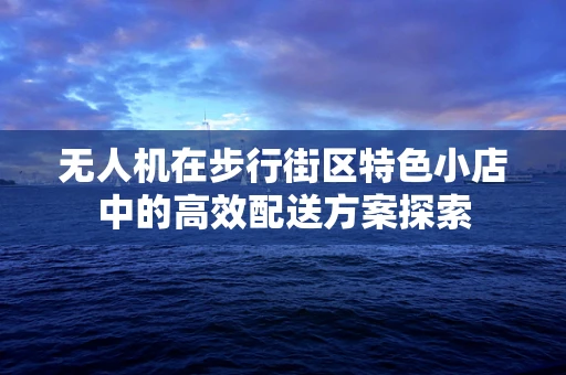 无人机在步行街区特色小店中的高效配送方案探索