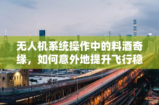 无人机系统操作中的料酒奇缘，如何意外地提升飞行稳定性？
