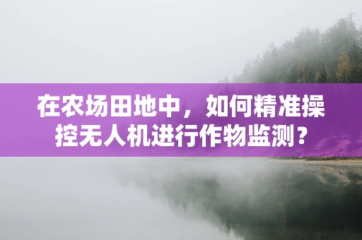 在农场田地中，如何精准操控无人机进行作物监测？