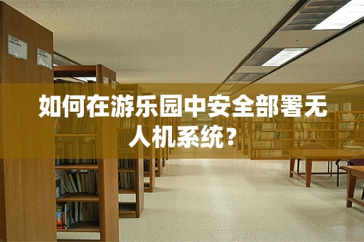 如何在游乐园中安全部署无人机系统？