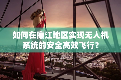 如何在廉江地区实现无人机系统的安全高效飞行？