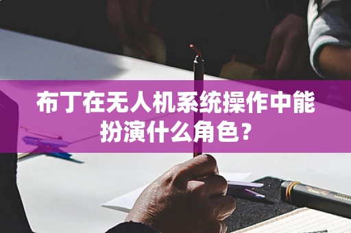 布丁在无人机系统操作中能扮演什么角色？