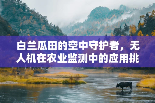 白兰瓜田的空中守护者，无人机在农业监测中的应用挑战