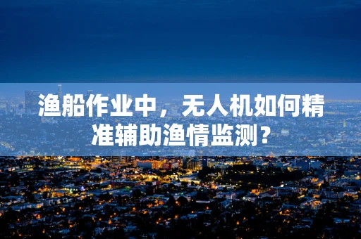渔船作业中，无人机如何精准辅助渔情监测？