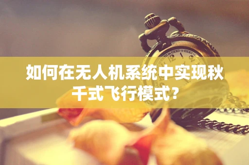 如何在无人机系统中实现秋千式飞行模式？