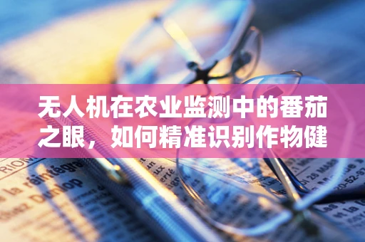 无人机在农业监测中的番茄之眼，如何精准识别作物健康？