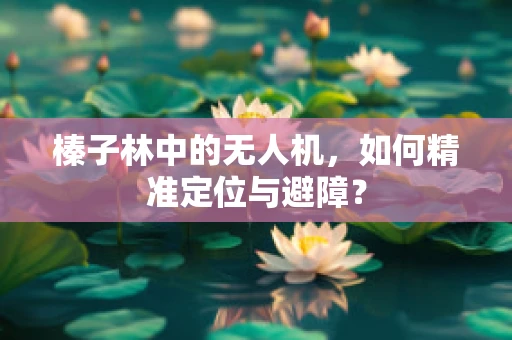 榛子林中的无人机，如何精准定位与避障？