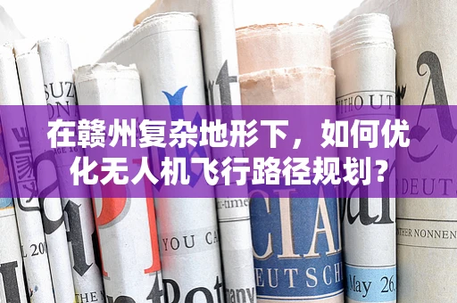 在赣州复杂地形下，如何优化无人机飞行路径规划？
