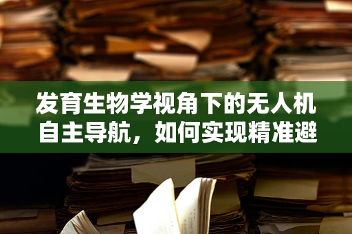 发育生物学视角下的无人机自主导航，如何实现精准避障？