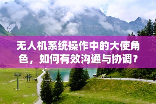 无人机系统操作中的大使角色，如何有效沟通与协调？