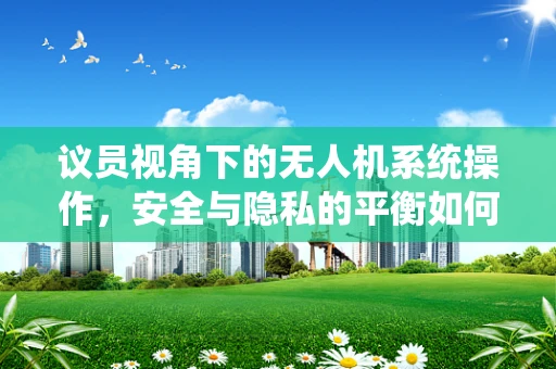 议员视角下的无人机系统操作，安全与隐私的平衡如何实现？