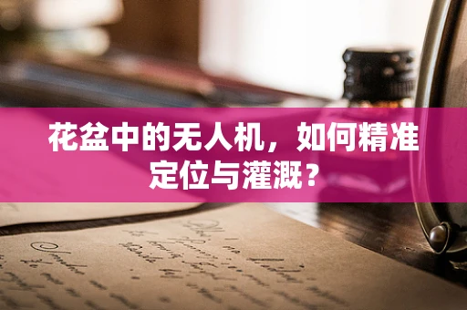 花盆中的无人机，如何精准定位与灌溉？