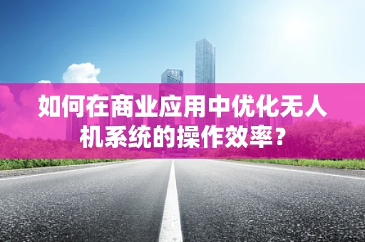 如何在商业应用中优化无人机系统的操作效率？