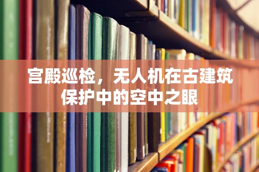 宫殿巡检，无人机在古建筑保护中的空中之眼