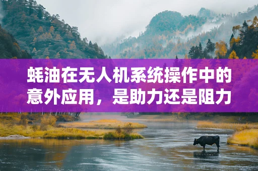 蚝油在无人机系统操作中的意外应用，是助力还是阻力？