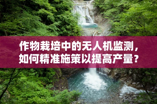 作物栽培中的无人机监测，如何精准施策以提高产量？