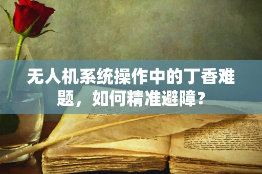 无人机系统操作中的丁香难题，如何精准避障？