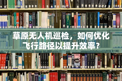 草原无人机巡检，如何优化飞行路径以提升效率？