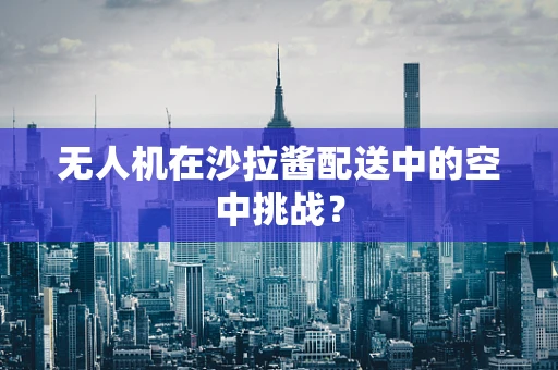 无人机在沙拉酱配送中的空中挑战？