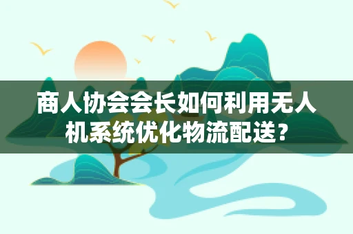 商人协会会长如何利用无人机系统优化物流配送？