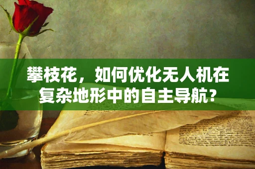 攀枝花，如何优化无人机在复杂地形中的自主导航？