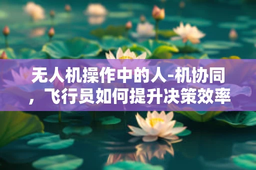 无人机操作中的人-机协同，飞行员如何提升决策效率？