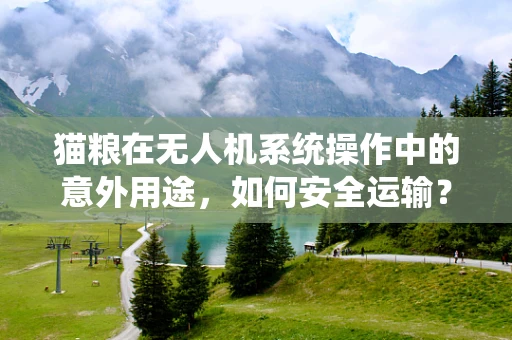 猫粮在无人机系统操作中的意外用途，如何安全运输？