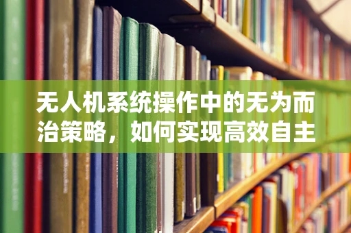 无人机系统操作中的无为而治策略，如何实现高效自主飞行？
