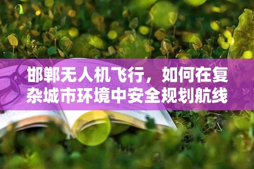 邯郸无人机飞行，如何在复杂城市环境中安全规划航线？