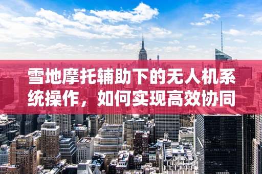 雪地摩托辅助下的无人机系统操作，如何实现高效协同？