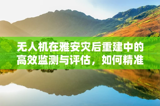 无人机在雅安灾后重建中的高效监测与评估，如何精准规划飞行路径？