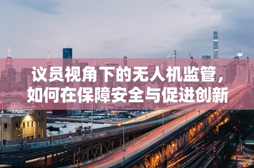 议员视角下的无人机监管，如何在保障安全与促进创新间找到平衡？