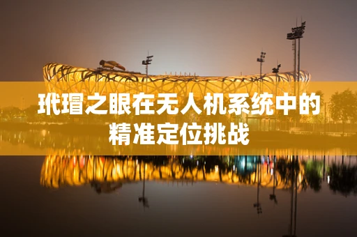 玳瑁之眼在无人机系统中的精准定位挑战