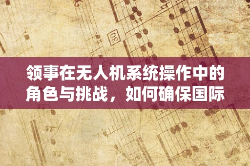 领事在无人机系统操作中的角色与挑战，如何确保国际空域的合规飞行？
