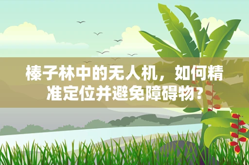 榛子林中的无人机，如何精准定位并避免障碍物？
