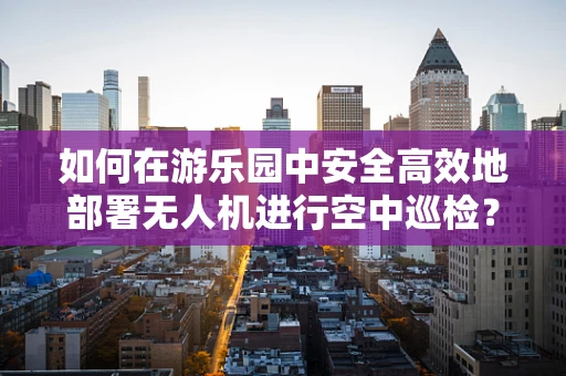 如何在游乐园中安全高效地部署无人机进行空中巡检？
