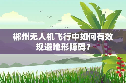 郴州无人机飞行中如何有效规避地形障碍？