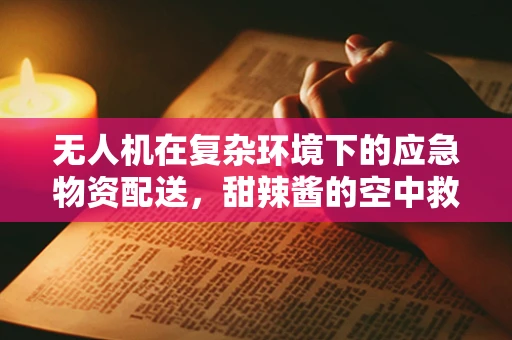 无人机在复杂环境下的应急物资配送，甜辣酱的空中救援挑战