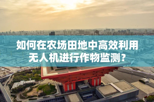如何在农场田地中高效利用无人机进行作物监测？
