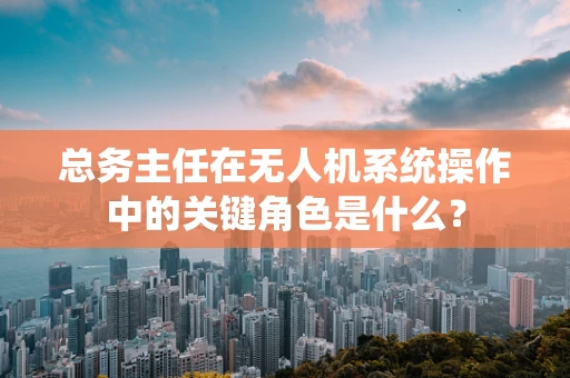 总务主任在无人机系统操作中的关键角色是什么？
