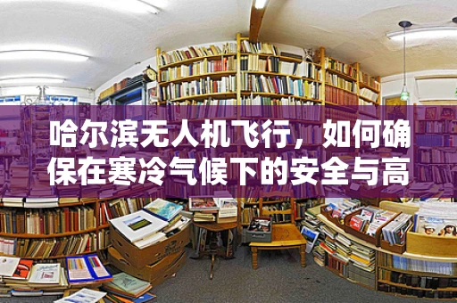 哈尔滨无人机飞行，如何确保在寒冷气候下的安全与高效操作？