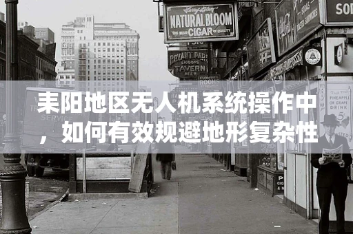 耒阳地区无人机系统操作中，如何有效规避地形复杂性的挑战？