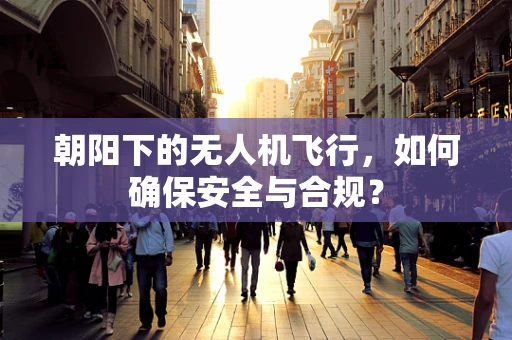 朝阳下的无人机飞行，如何确保安全与合规？