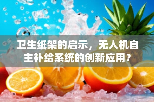 卫生纸架的启示，无人机自主补给系统的创新应用？