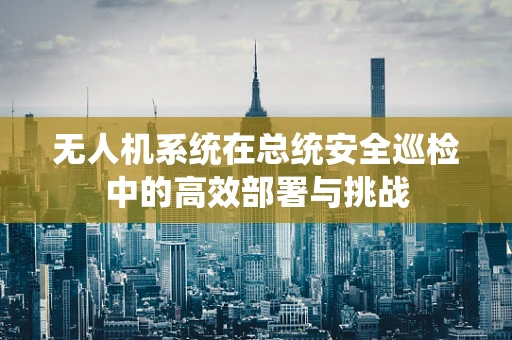 无人机系统在总统安全巡检中的高效部署与挑战