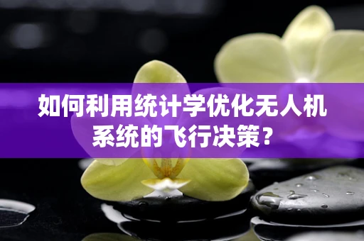 如何利用统计学优化无人机系统的飞行决策？