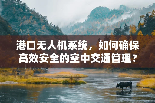 港口无人机系统，如何确保高效安全的空中交通管理？