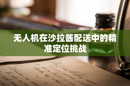 无人机在沙拉酱配送中的精准定位挑战